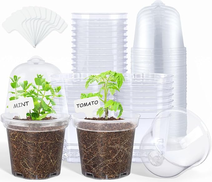 homenote Clear Nursery Pots for Plants, 4 Inch Plant Pot for Planting by HOMENOTE