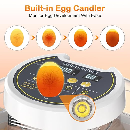 18 Egg Incubator with Automatic Egg Turning and Humidity Control, Incubators - Image 4