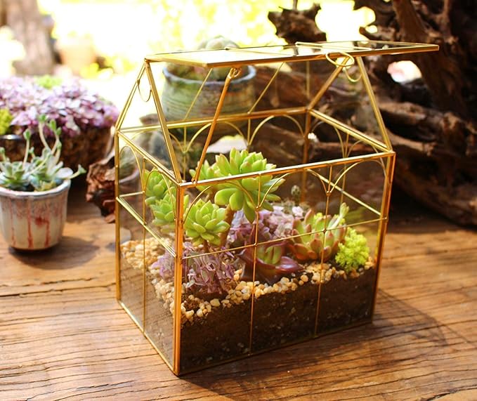 Glass Geometric Plant Terrarium, Succulent & Air Planter - Image 6