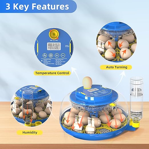 18 Egg Incubator for Hatching Chicken, Quail Eggs – 360° Visible Lid, Automatic - Image 2