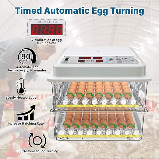 Incubators for Hatching Eggs, 120 Egg Incubator - Image 2
