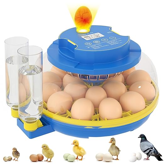 Chicken Egg Incubators for Hatching Eggs, 18 Egg Incubator by LoveAllYourLittleOnes