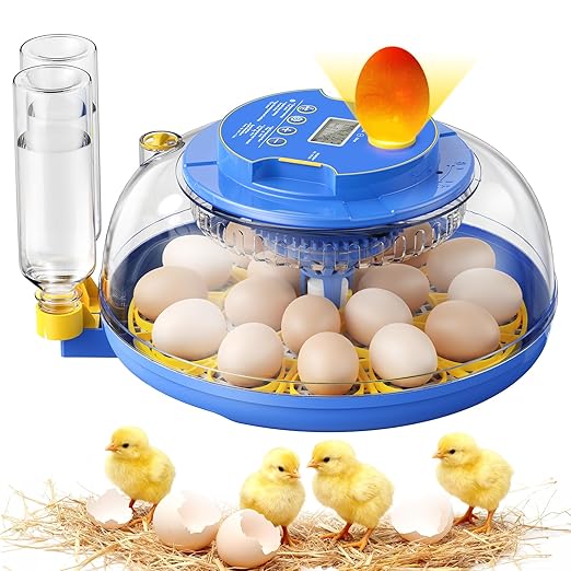 18 Egg Incubators for Hatching Eggs, 360° View by SORSWEET