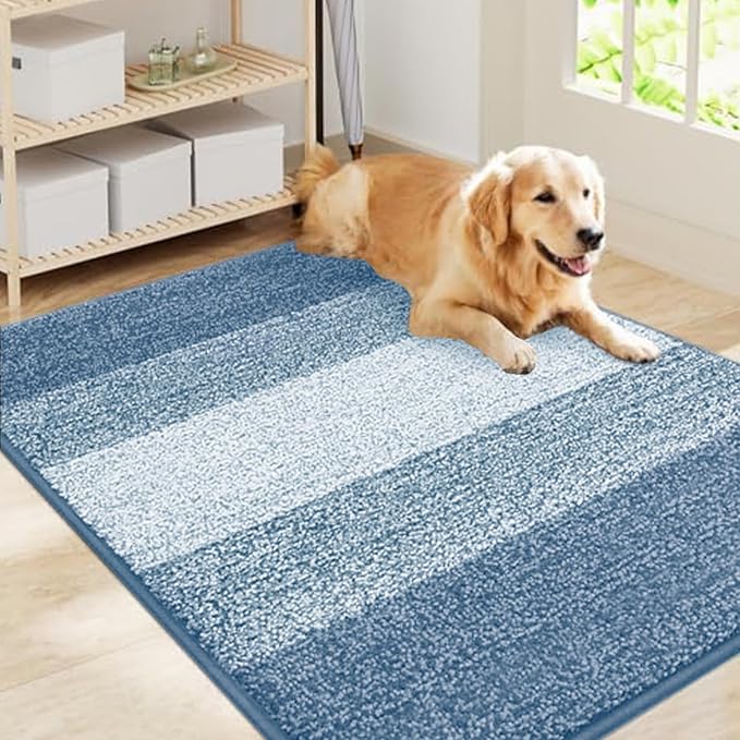 Smiry Dog Door Mat for Muddy Paws, Absorbs Moisture and Dirt, Low-Profile by Smiry