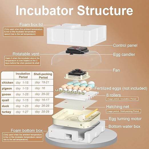 35 Eggs Incubators for Hatching Eggs, Egg Incubator - Image 6