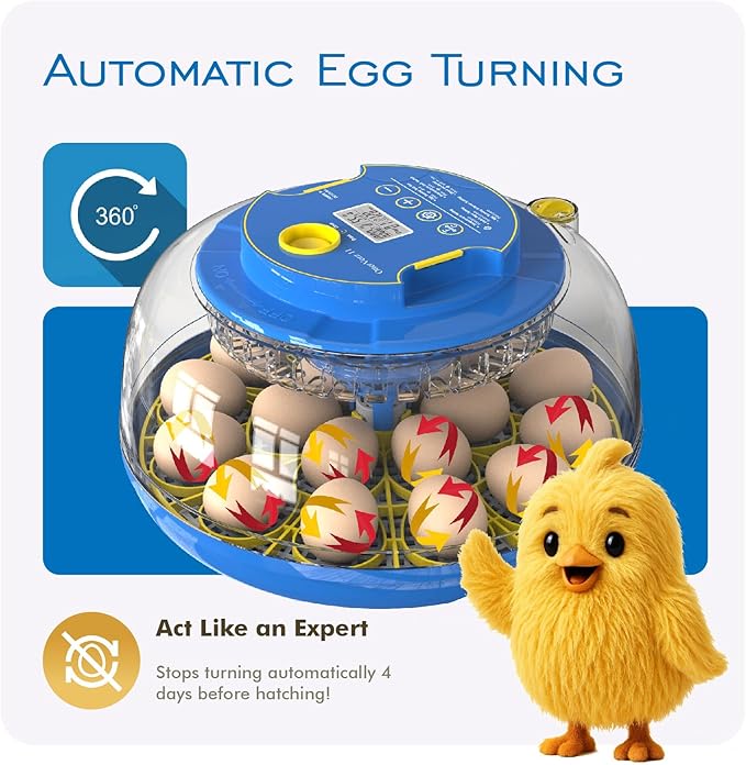 OtterVerz 11 Egg Incubators for Hatching 18-36 Chicken/Quail/Turkey Eggs - Image 8