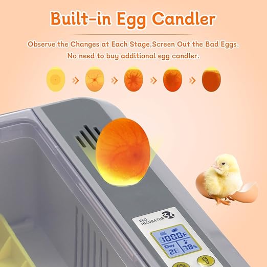 Automatic Egg Incubator, Automatic Egg Turner - Image 2