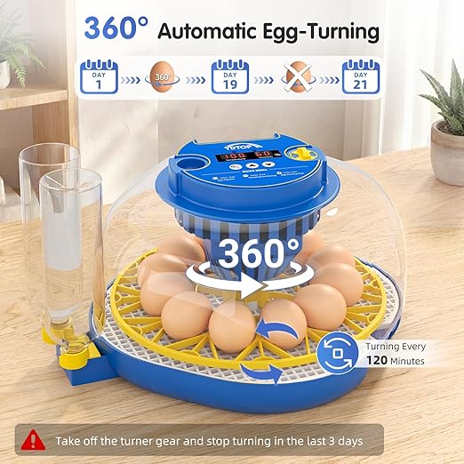 Chicken Egg Incubators for Hatching Eggs, 12 Egg Incubator - Image 4