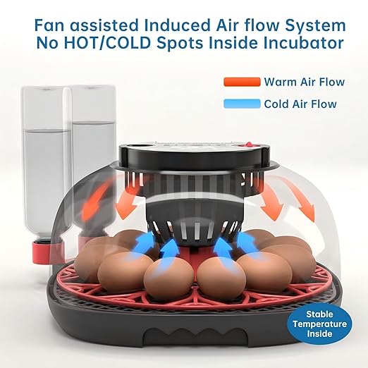 12-24 Egg Incubator with Humidity Display, Egg Candler, Automatic Egg Turner - Image 5