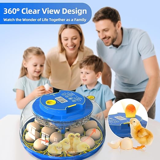 18 Egg Incubator for Hatching Chicken, Quail Eggs – 360° Visible Lid, Automatic - Image 7