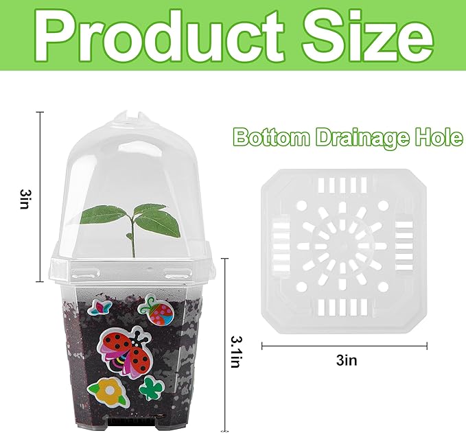 EBaokuup 10 Pack Clear Plant Nursery Pots - Image 2