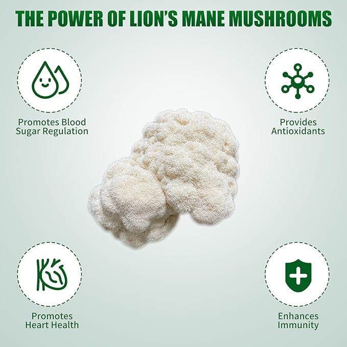 Large Organic Lion's Mane Mushroom Grow Kit - Image 7