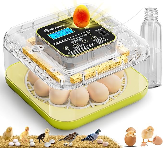 Egg Incubators for Hatching Eggs, 12 Egg Incubator by Unknown