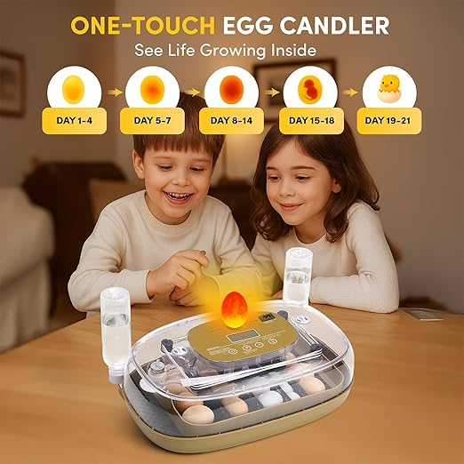 HIRALIY Incubator for Hatching Eggs, 48 Quail Capacity, Chicken & Quail Egg - Image 5