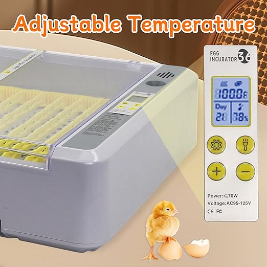 Automatic Egg Incubator, Automatic Egg Turner - Image 4