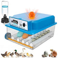 Automatic Egg Incubator 16 Egg Incubators by ZtexkeeHomeFurniture