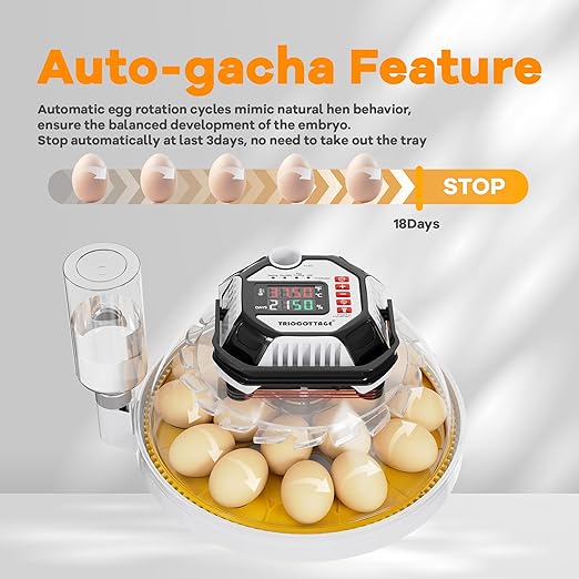 Incubators for Hatching Eggs 12-18 Egg Incubator - Image 5