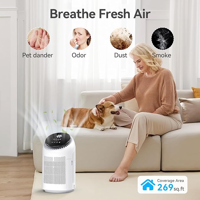 Dehumidifier with Purification Function - Image 3