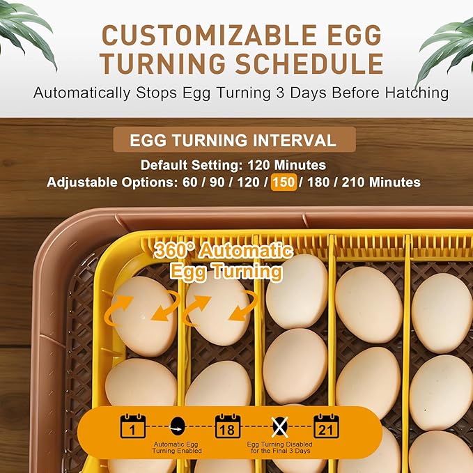Master 56 Egg Incubator for Breeders, Fully Automated, Accurate Humidity & Temp - Image 5