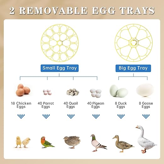 Incubators for Hatching Eggs, 18-Egg Incubator - Image 3