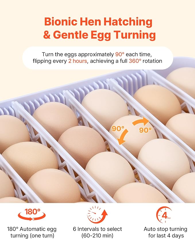 VEVOR 48 Egg Incubator, Automatic Egg Turner - Image 4