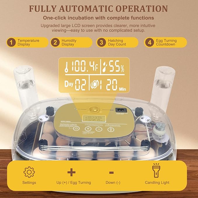 Smart 24-Egg Incubator for Hobbyists, Full-Stage Adaptive Humidity & Temp - Image 4