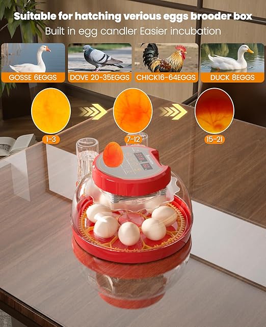 8 Chinken Incubators for Hatching Eggs - Image 4