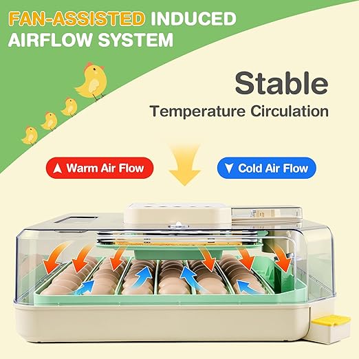Sailnovo 48 Egg Incubator for Hatching Eggs - Image 2