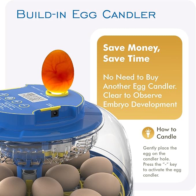 OtterVerz 11 Egg Incubators for Hatching 18-36 Chicken/Quail/Turkey Eggs - Image 4
