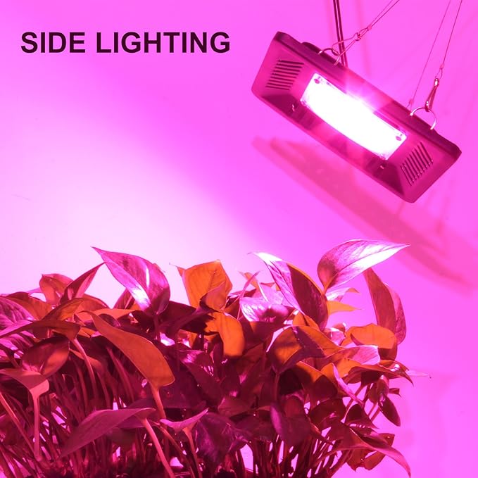 Waterproof 100W LED Grow Light Full Spectrum, New Technology COB LED Grow Light - Image 6