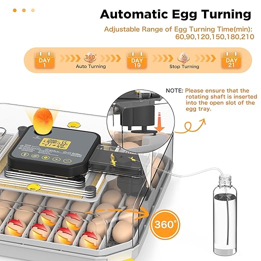Incubator for Hatching 48 Eggs - Image 6