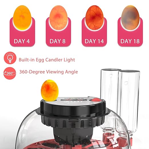 Incubators for Hatching Eggs, 12 Egg Incubator - Image 3