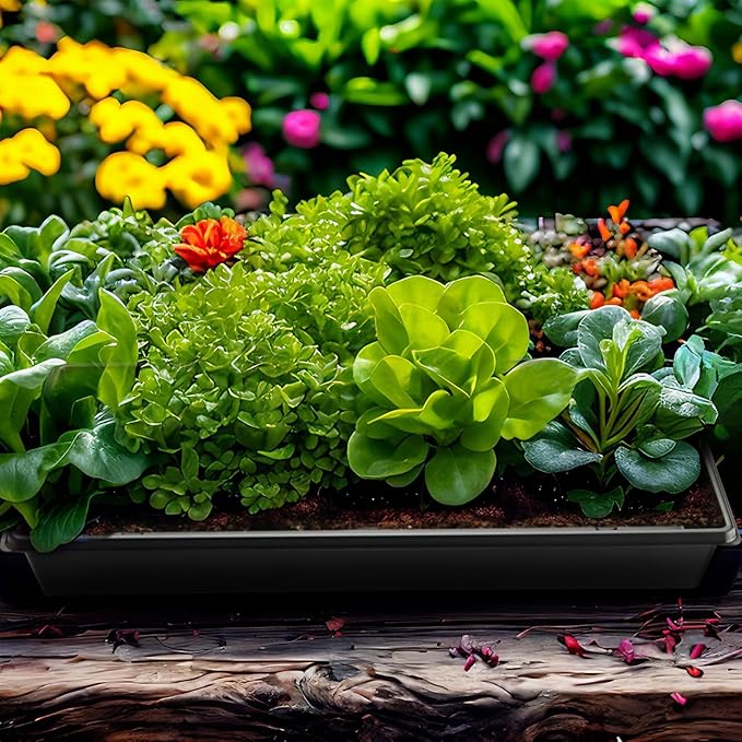 1020 Plant Tray with Tall 7.3'' Dome, Heavy Duty 1020 Trays and Flats with Lid - Image 8