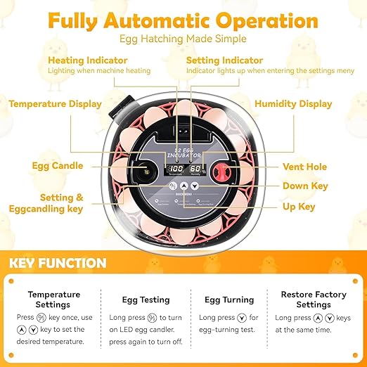 Egg incubators for Hatching Eggs, Automatic Egg Turning 12-24 Poultry Incubator - Image 5