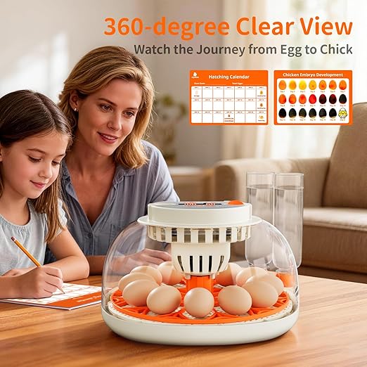 Egg Incubator with Temperature and Humidity Control, Automatic Egg Turning - Image 6