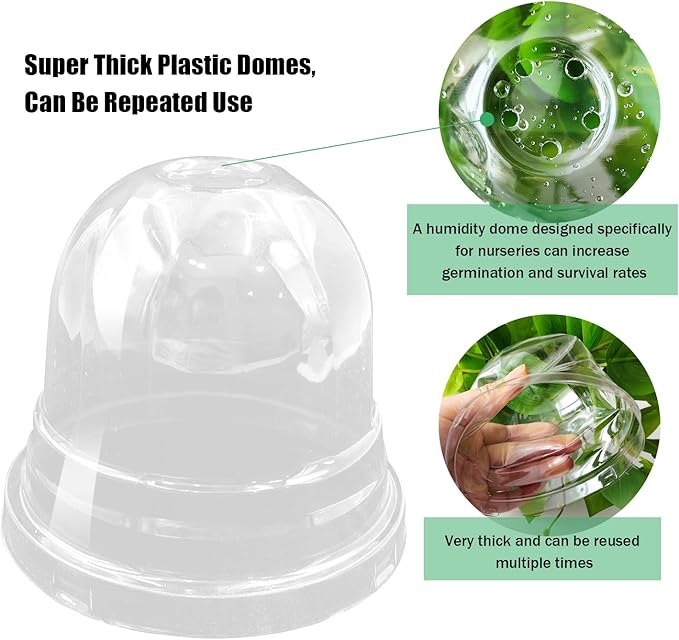 Transparent Nursery Pots 3.5Inch - Image 6