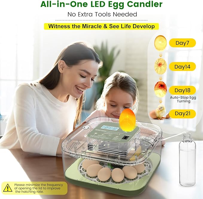 12 Egg Incubator with Automatic Turning, Auto Water Refill & Temp/Humidity - Image 6