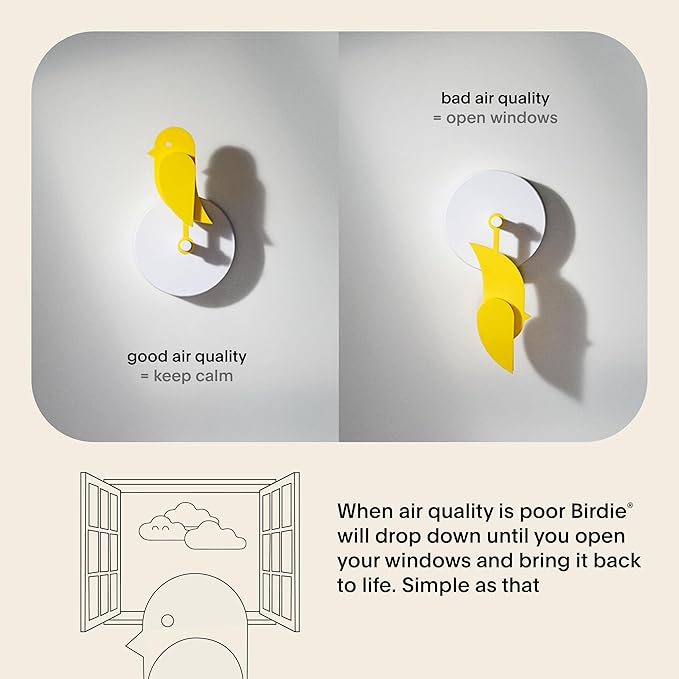Birdie 2.0 - Design Indoor CO2 Monitor - Air Quality Meter - Image 3