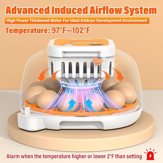 ONKO 12 Egg Incubator with Auto Temp & Humidity Control - Image 2