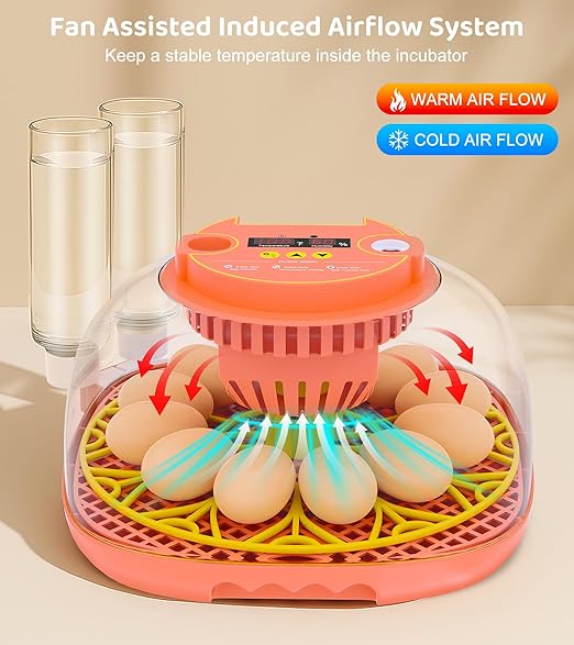 12 Egg Incubator for Hatching Eggs, Smart Temperature and Humidity Control - Image 2