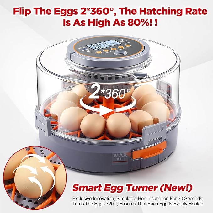 Chicken Egg Incubator 12-40 Eggs - Image 5