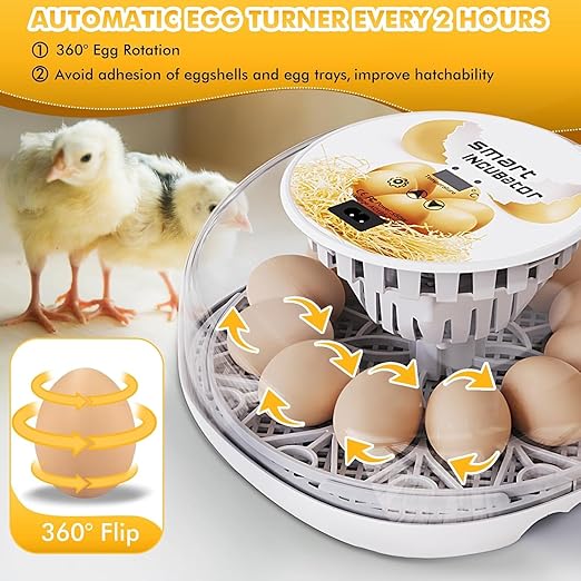 Egg incubators for Hatching Eggs, Automatic Egg Turning 12-24 Poultry Incubator - Image 2