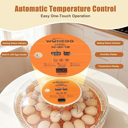 2nd Gen 30 Egg Incubator, Wide-Range Humidity - Image 4