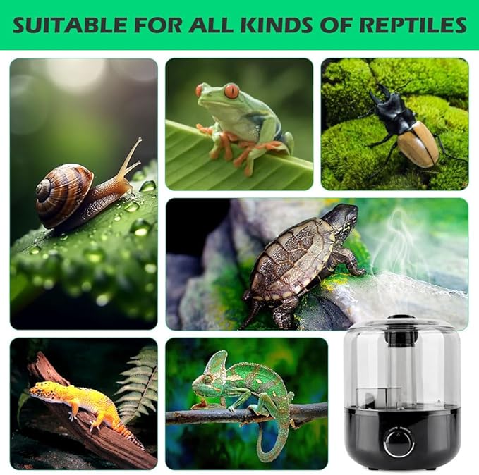 Reptile Humidifier Fogger, 3L Visible Tank Reptile Miste-r - Image 8