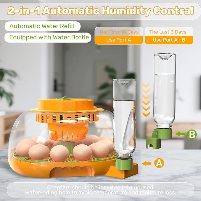 Incubators for Hatching Eggs, 12 Egg Incubator - Image 3