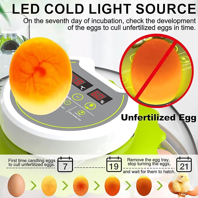 18/60 Egg Incubator with Humidity Display, Incubators - Image 3