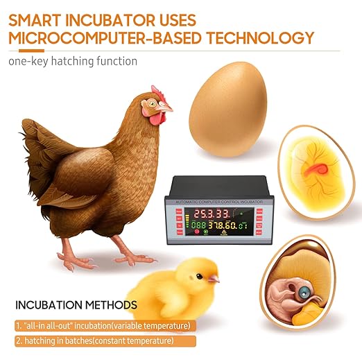 Automatic Egg Incubator 160V-220V 50Hz, Digital LED Display - Image 2