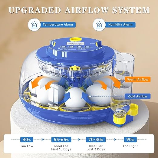 Incubators for Hatching Eggs, 18-Egg Incubator - Image 4