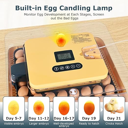 Incubators for Hatching Eggs, 56 Eggs Incubator - Image 6