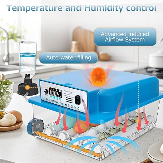 Automatic Egg Incubator 16 Egg Incubators - Image 4